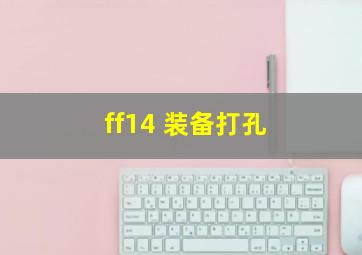 ff14 装备打孔